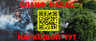 СК Моздок