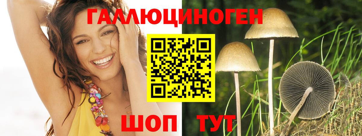 Галлюциногенные грибы GOLDEN TEACHER Чита
